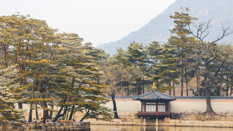 tk脚心 场景参考图